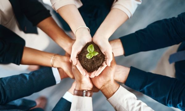 Several workers holding on a green plant.