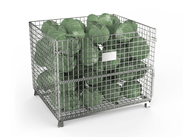 Several cabbages in the wire container.